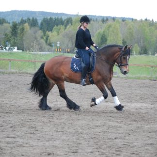 V24 Privattime med Julianne 22.3.24