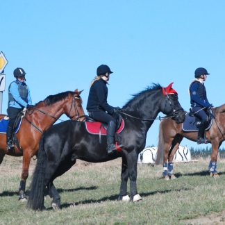 V24 GK3/nivå 1 barn 9-12 år , mandag 17.15