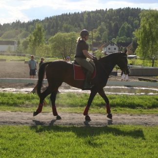V24 Nivå 1 hobby barn/ungdom, tirsdag 17.15