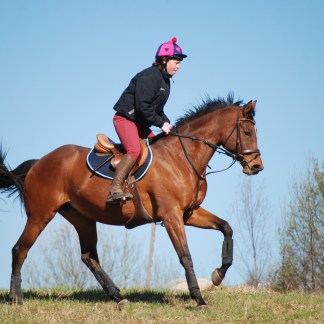 H23 Hest på fôr 03.12.23 Monika trening
