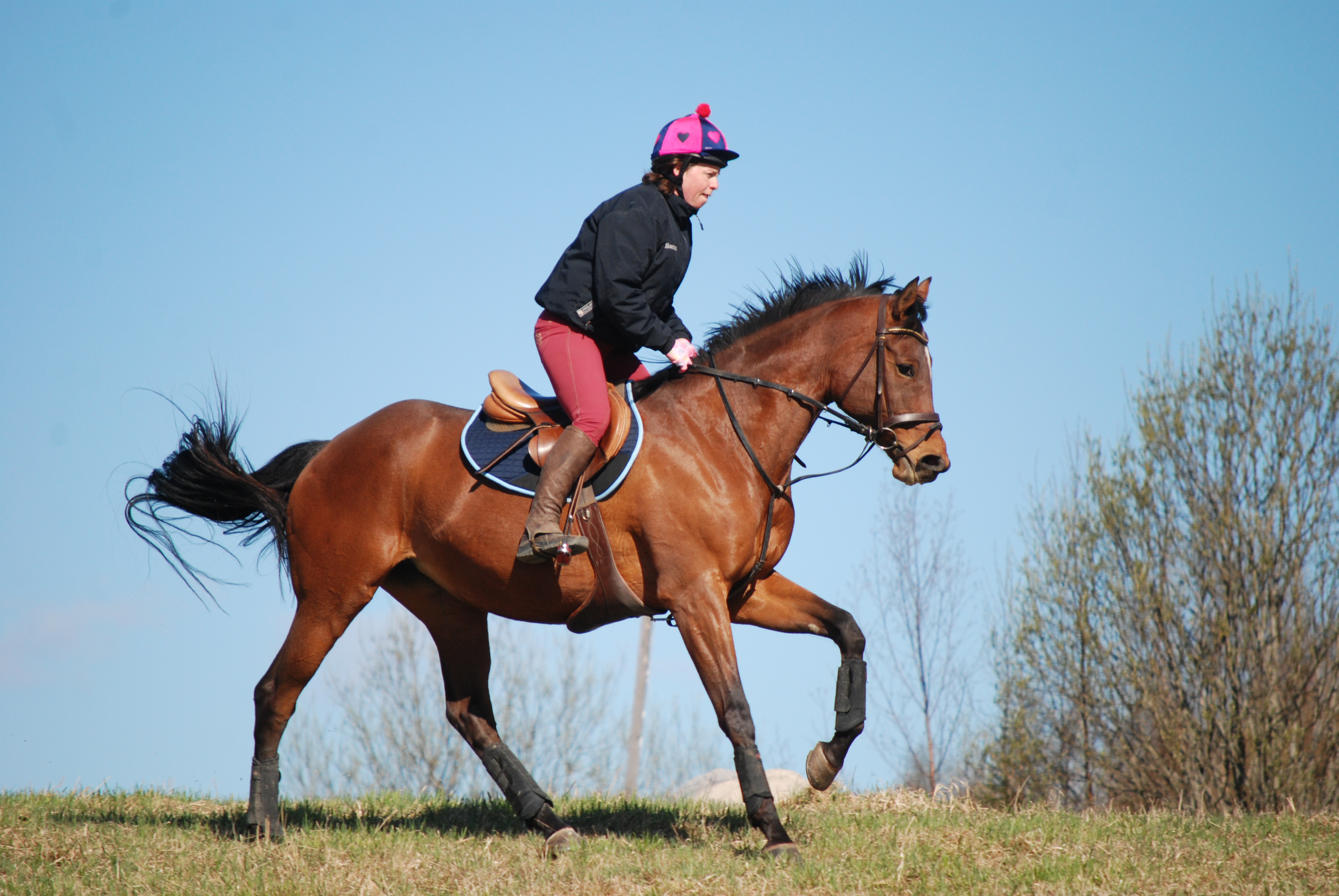 H23 Hest på fôr 2.12.23